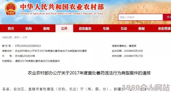 欧美www网站传播非法有害信息已被多部门查处