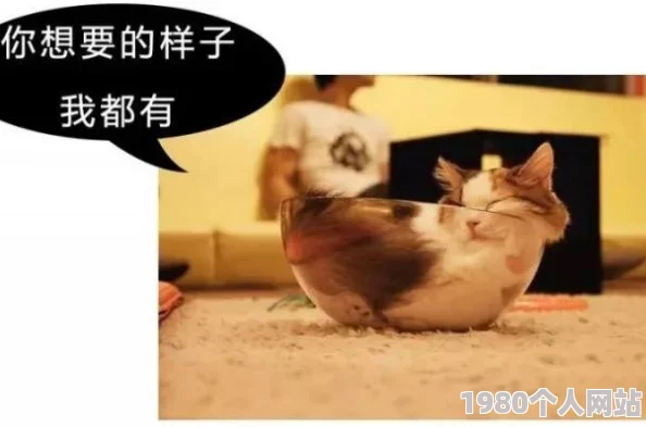 日本理伦片和搜子同居的日子听说搜子家的猫其实是隔壁大妈走失的爱宠