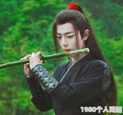 陈情令之忘羡特别剪辑版甜蜜加倍重温经典