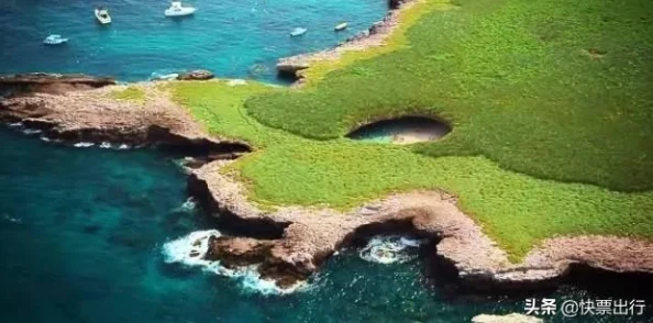 仙境传说ro手游资深玩家揭秘：无消耗炸弹人流玩法，网友热评技巧大放送！
