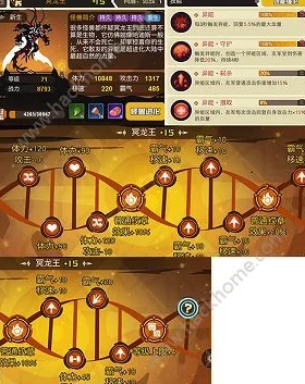 网友热议：超进化物语真月夕阵容搭配攻略与选择评价