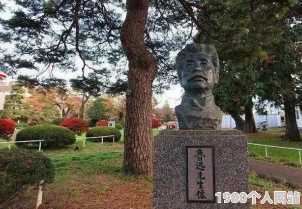 日本观看纪录片《日本之旅》展现独特文化与自然风光欢迎收看