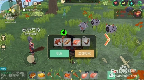 网友热议：创造与魔法中兽皮获得全攻略，揭秘哪些动物身上能产出珍稀兽皮