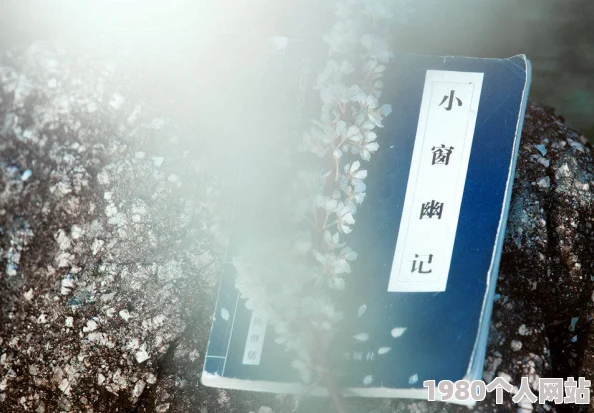 妙不可言尚扇弱水无弹窗免费阅读完整版原著小说在线阅读