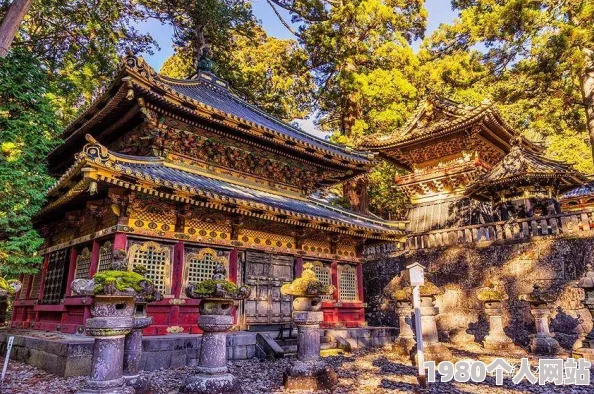 神宫寺在线高清资源流出引热议