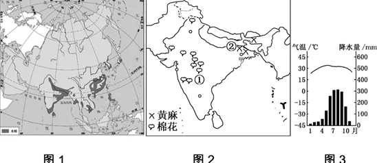 亚洲一区二区沤资源更新至2024年1月1日新增多个高清视频