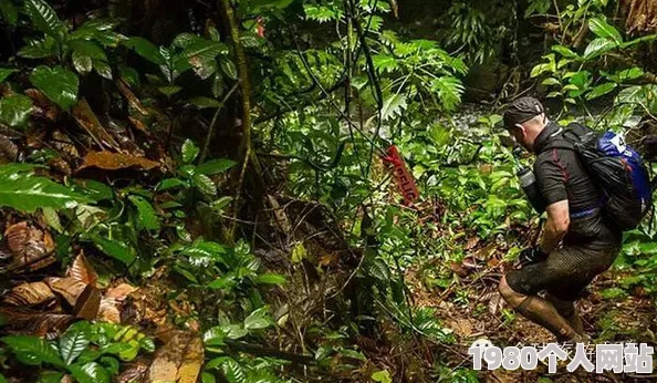 网友热议：丛林大逃命最低配置要求详解，手机运行门槛究竟多低？