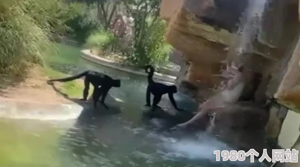 打生猴子软件免费下载警惕虚假宣传谨防病毒风险