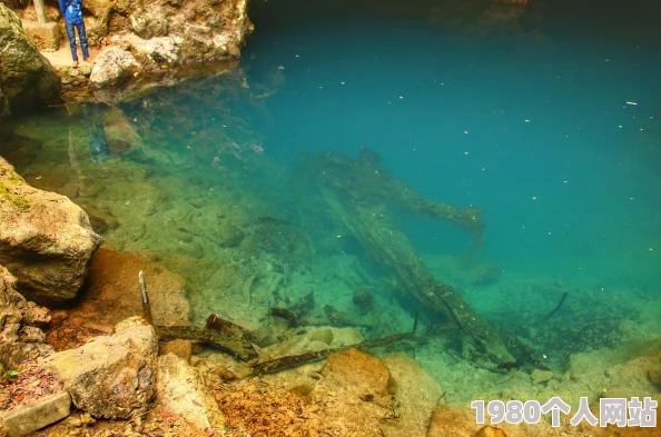 寻仙手游沙子洲水族仙姑随机刷新点大全，网友热议地点汇总指南