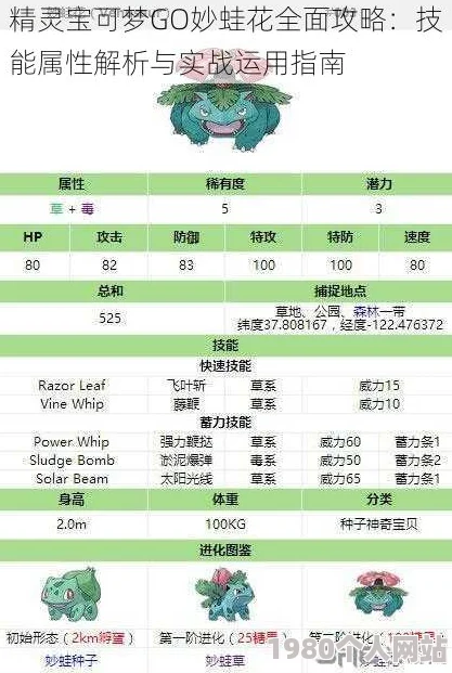 网友热评：口袋妖怪复刻妙蛙花性格选择全面指南攻略
