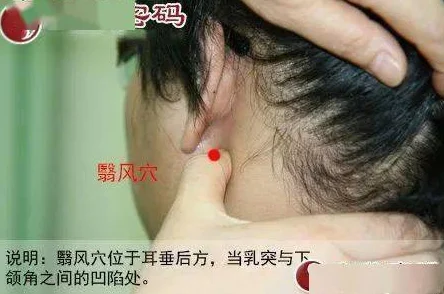 调教铃口玉茎针＊虐玩尿眼