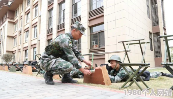 全民砰砰砰深度攻略：三星宠物全解析及网友热评精选