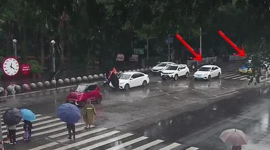 全民砰砰砰深度攻略：三星宠物全解析及网友热评精选