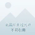 末日封锁：网友热议最强武器，特色枪械震撼展示评析