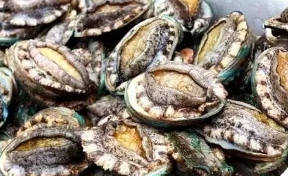鲍鱼网站最新网名2021by该标题疑似涉及不良信息，建议谨慎辨别，谨防网络诈骗