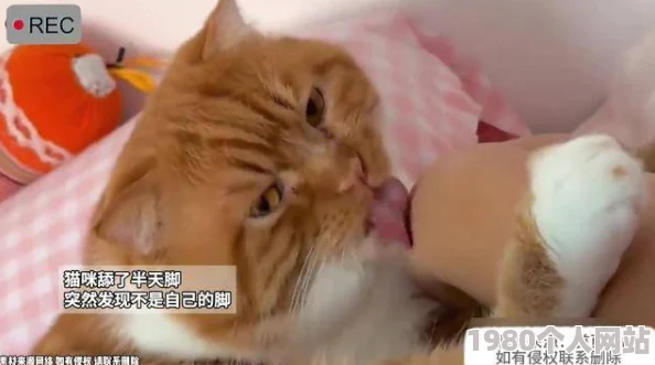 天天摸日日舔据传当事人酷爱蜜桃味冰淇淋引发网友热议
