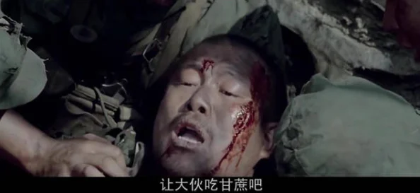 高山下的花环高清电影在线观看完整版画质模糊音效失真剧情删减严重