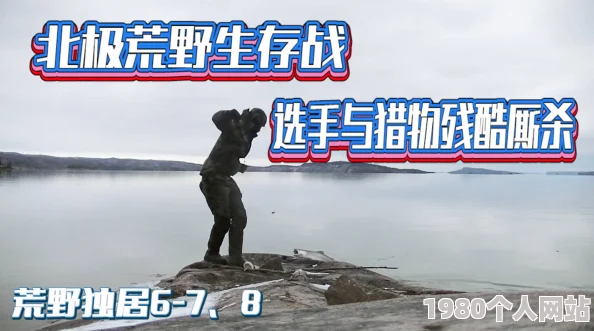 荒野独居挑战残酷环境频现退赛者身心俱疲考验重重