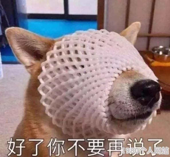 驯服有夫之妇网友评论：三观尽碎，狗血淋头，毁人三观