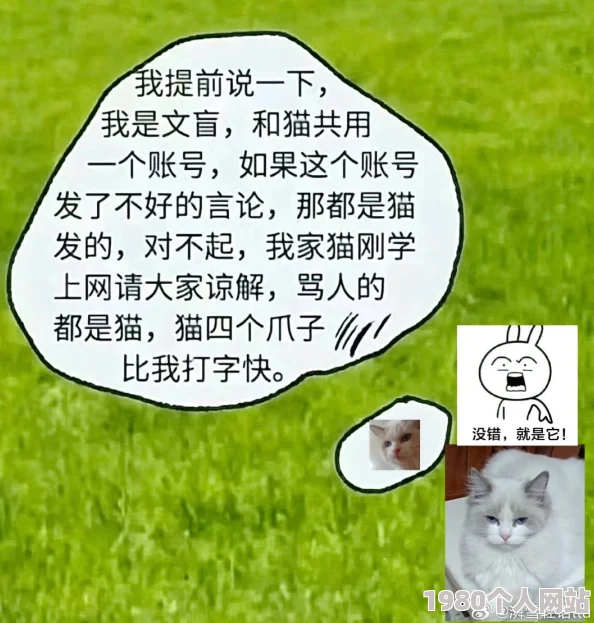 猫咪最新地域网名是什么懂的都懂警惕此类隐晦信息可能涉及违规内容请勿传播