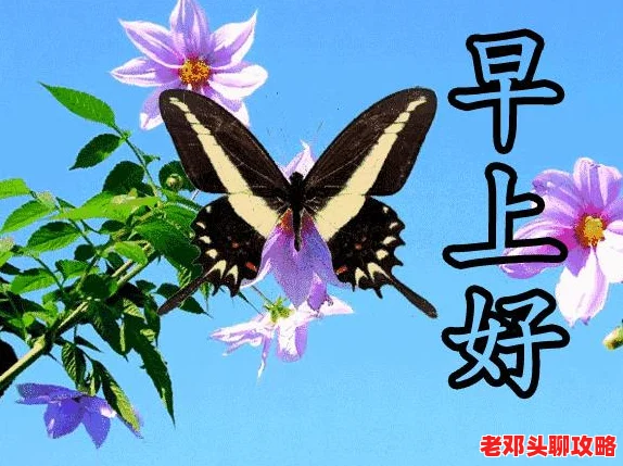 【正版直达】无限暖暖官方下载链接与渠道全面分享，速来获取！