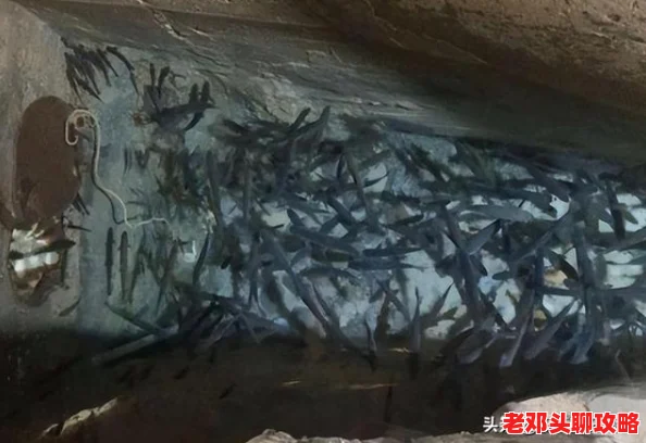 2024精选虚幻5引擎打造的游戏盛宴：探索经典与好玩的虚幻引擎游戏合集