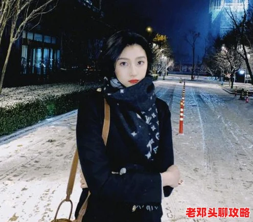 《我的世界》深度探索：雪块合成秘籍与多样实用场景应用指南