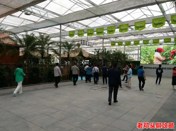 原始传奇游戏辅助工具评测：哪款更好用且高效，助你轻松称霸？