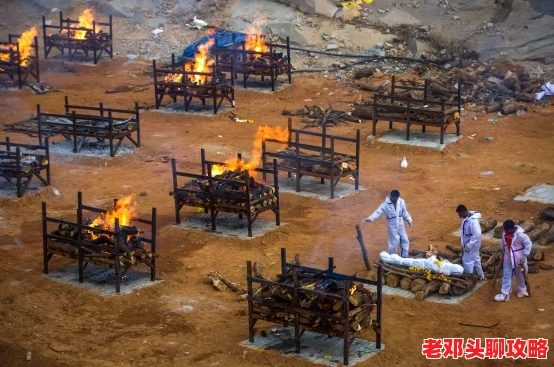 水银疗养院攻略：揭秘夜半影星成就的高效达成技巧与步骤