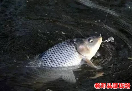 露玛岛金鳞鲈鱼垂钓指南：全面揭秘最佳出产地与钓点汇总