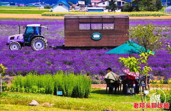 《模拟农场25》深度解析：探索游戏中丰富多样的猪种类及其特色