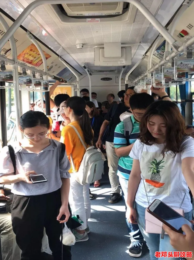 心动小镇发展家等级上限新突破，揭秘爱好等级最高可达多少级！