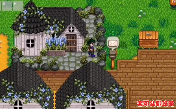 星露谷物语：揭秘姜岛水晶洞音乐解锁顺序，探索神秘旋律之谜