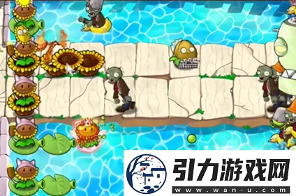 《pvz杂交版》英雄模式深度攻略：埃德加二世挑战必胜策略解析