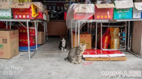 《猫猫钓游记》steam页面正式上线，全面支持简体中文，萌宠钓鱼乐趣无限！