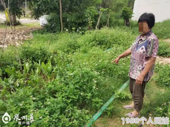 女邻居的网友推荐这部作品情节紧凑角色鲜明让人感受到生活中的温暖与幽默非常值得一看