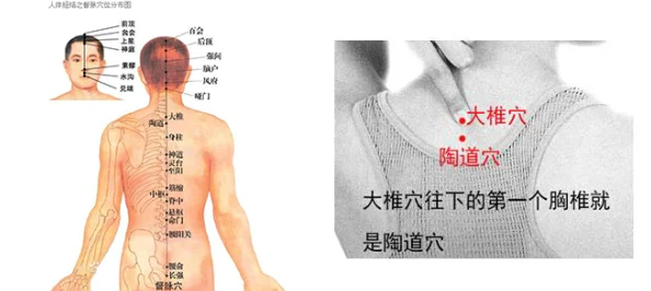 久久久久久穴最新研究进展揭示其在疼痛管理和神经调节中的潜在应用价值引起医学界广泛关注